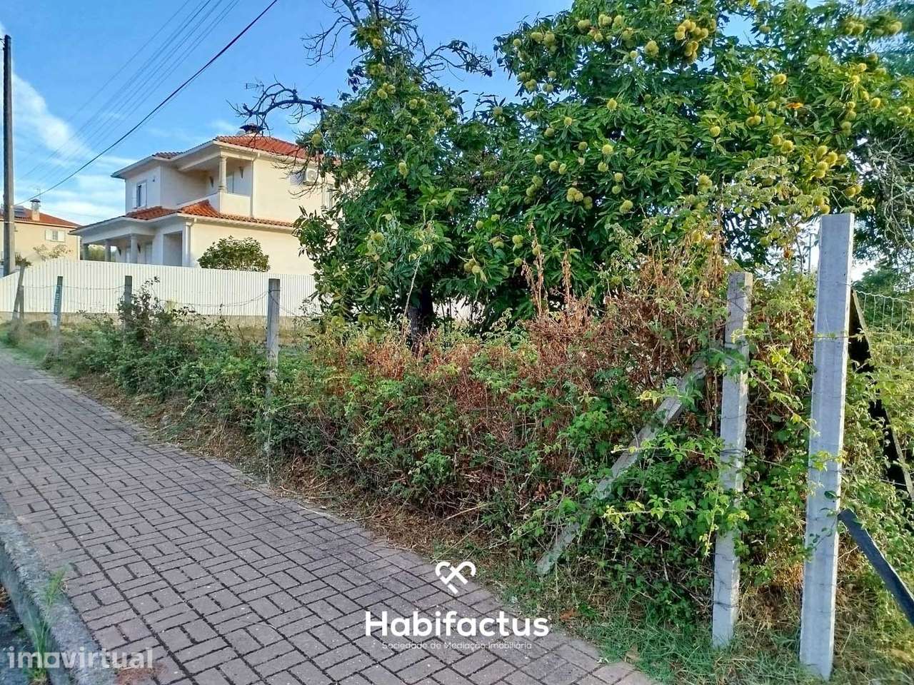 O seu projeto começa aqui: terreno com nascente em Cabanas de Viriato - Grande imagem: 2/7
