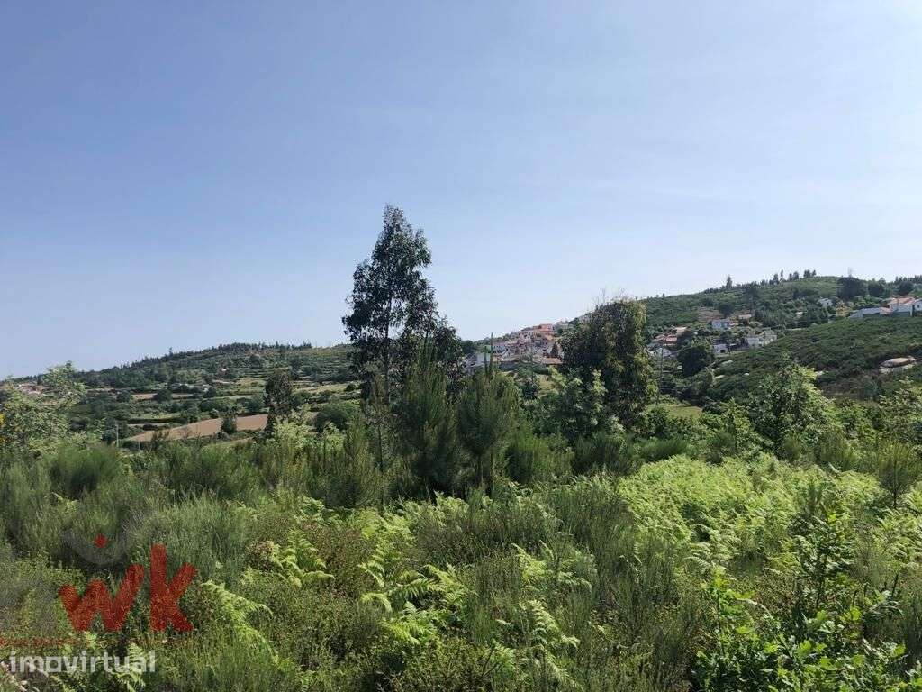 Terreno com ruína em pedra com vistas desafogadas - Grande imagem: 2/11