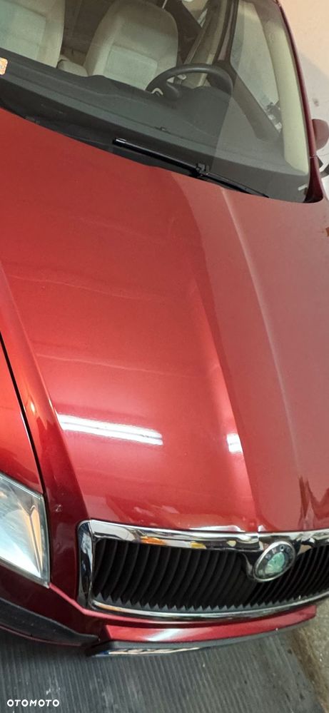 Skoda Octavia 1.9 TDI Elegance - 21