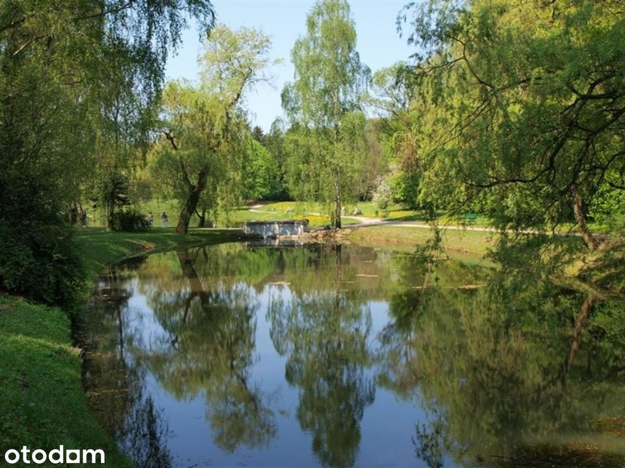Brak RESTAURACJI przy Parku Zdrowie, lokal w Rezydencji Mania - Pełny obrazek: 4/4