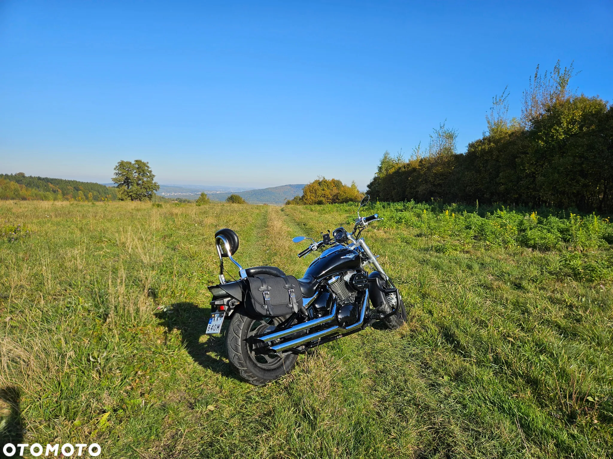 Suzuki Intruder - 4