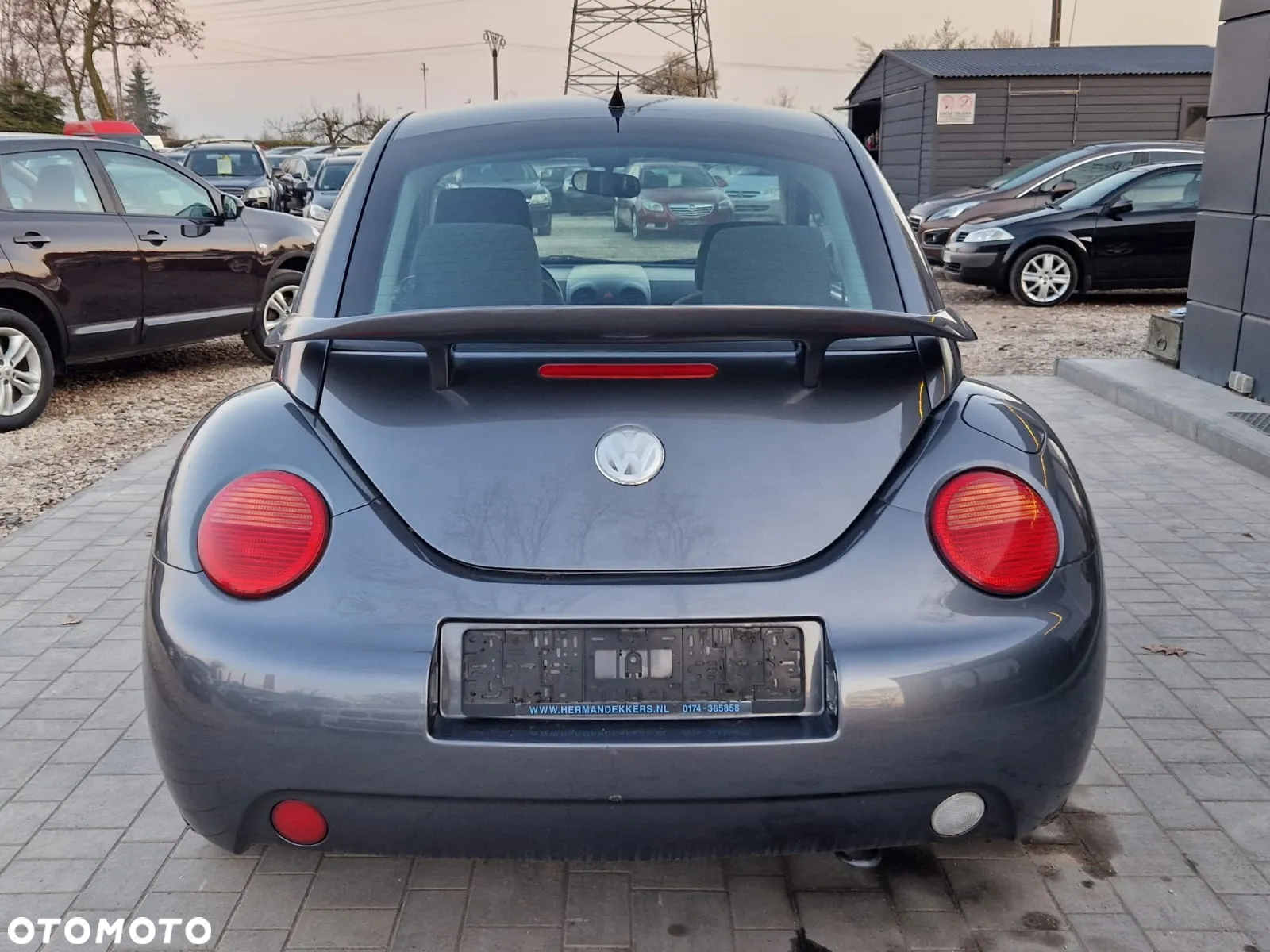 Volkswagen New Beetle 1.4 - 8