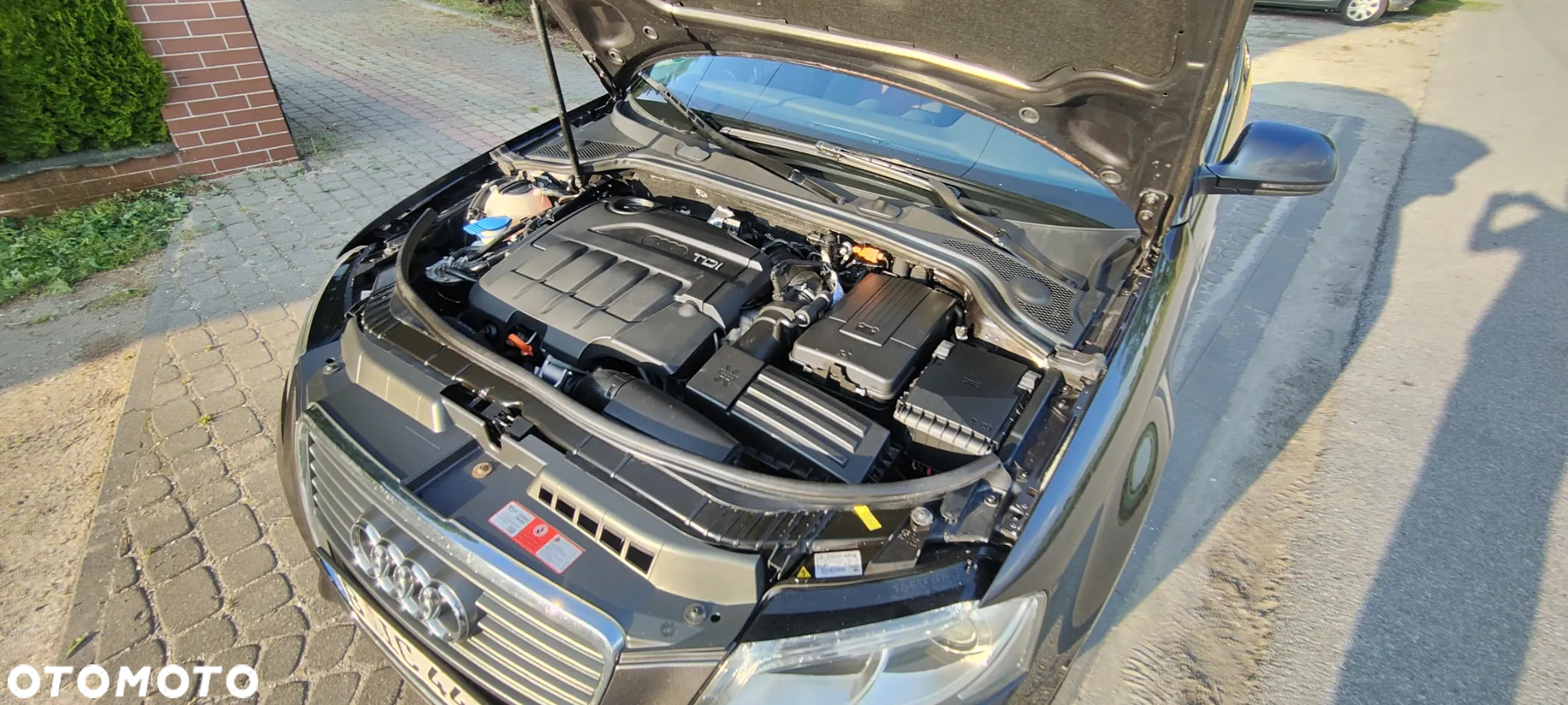 Audi A3 - 19