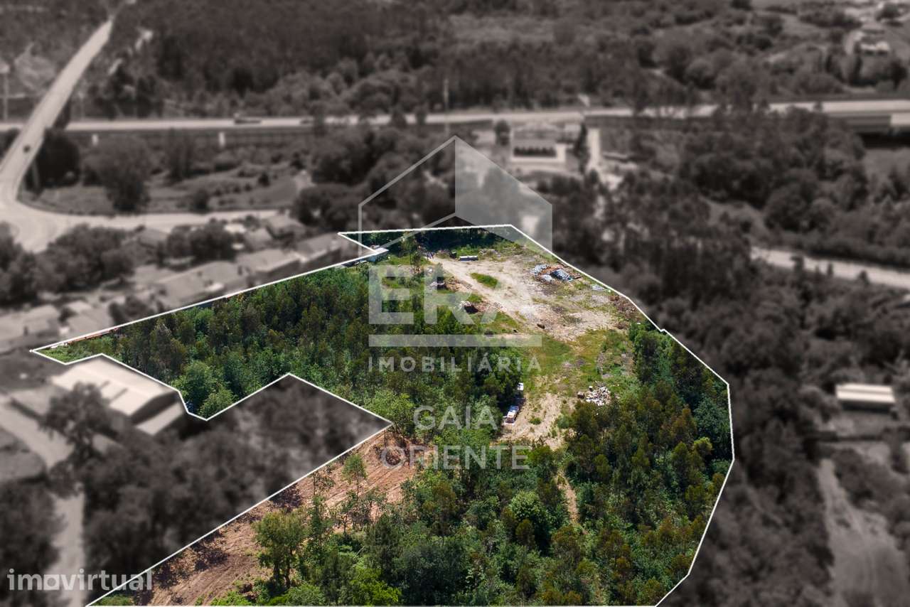 Terreno rústico com 16.179 m² em Olival - Grande imagem: 5/5