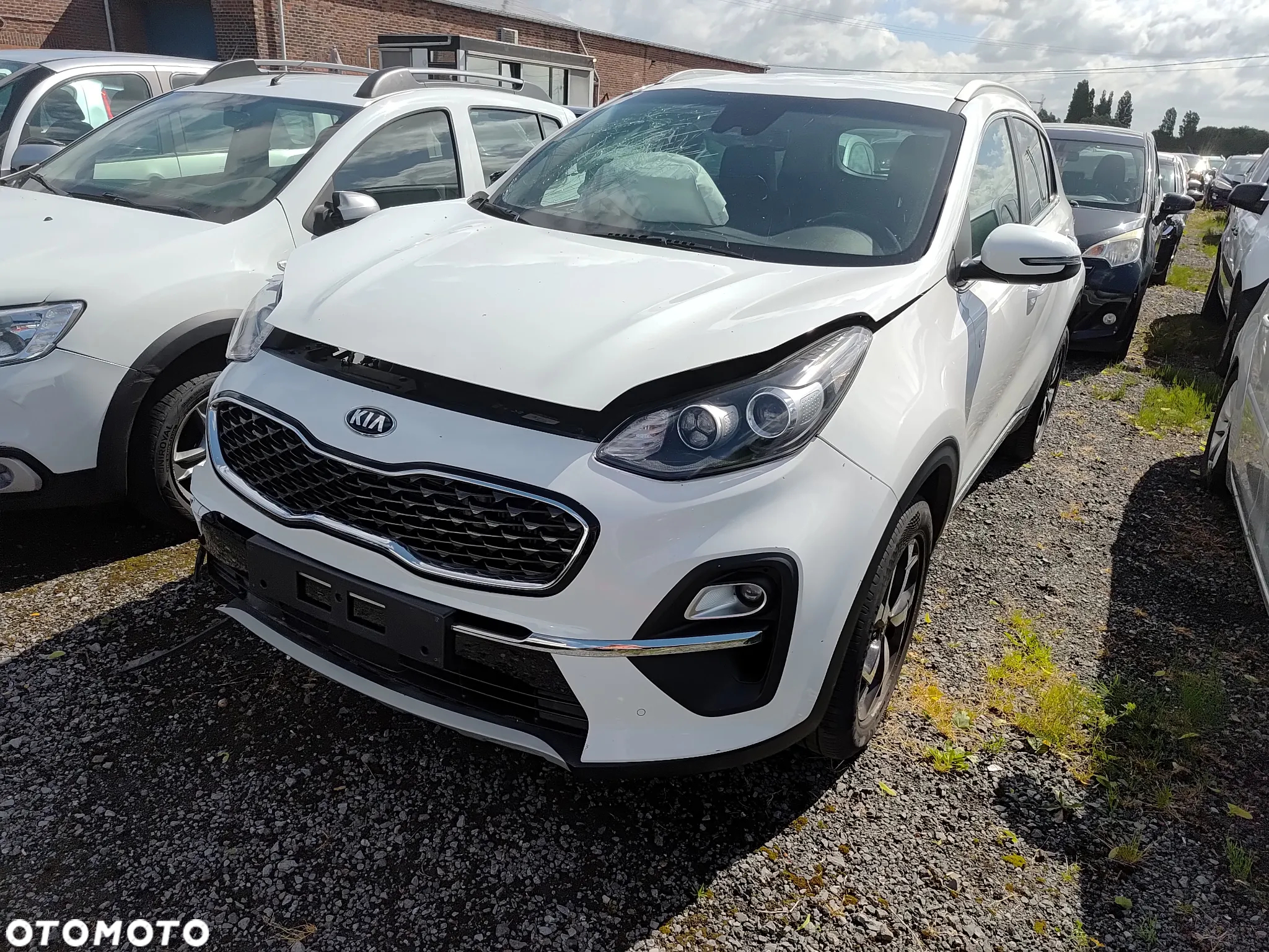 Kia Sportage 1.6 CRDI L Business Line 2WD DCT - 2