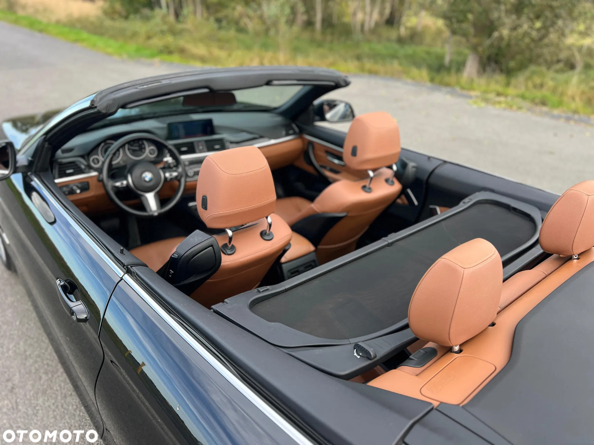 BMW Seria 4 420d Cabrio Luxury Line - 10