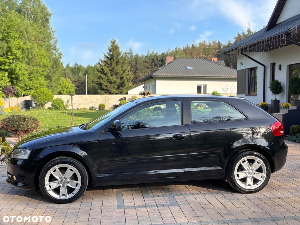 Audi A3 3-drzwiowe 1.6 Ambition - 8