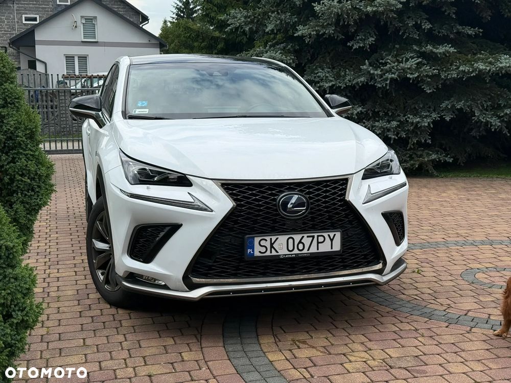 Lexus NX 300h F Sport Edition AWD - 3