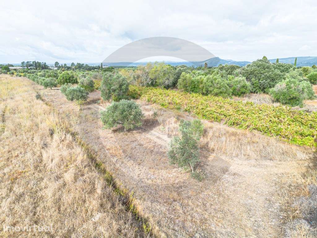 Terreno rústico - Grande imagem: 5/7