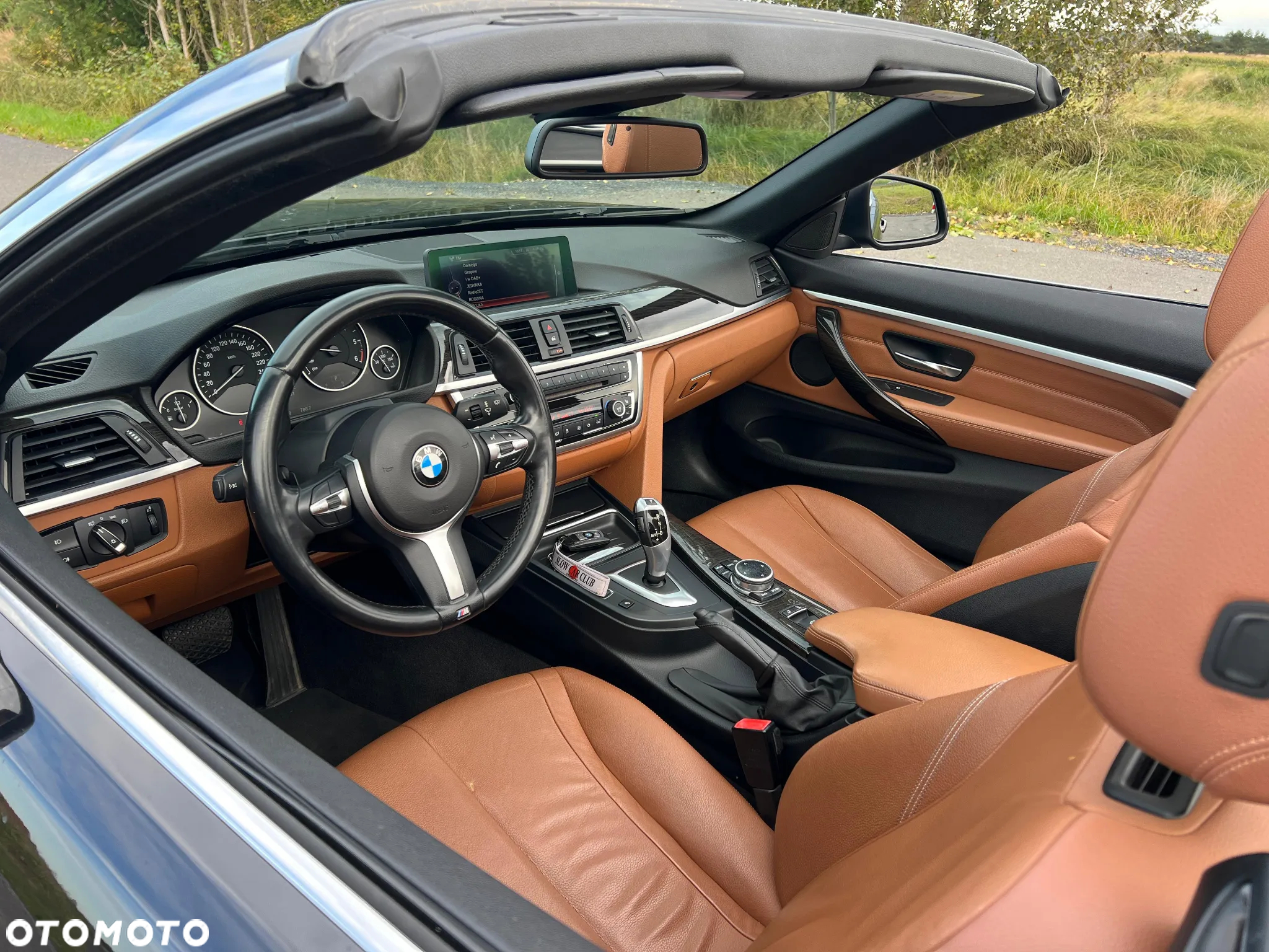 BMW Seria 4 420d Cabrio Luxury Line - 11