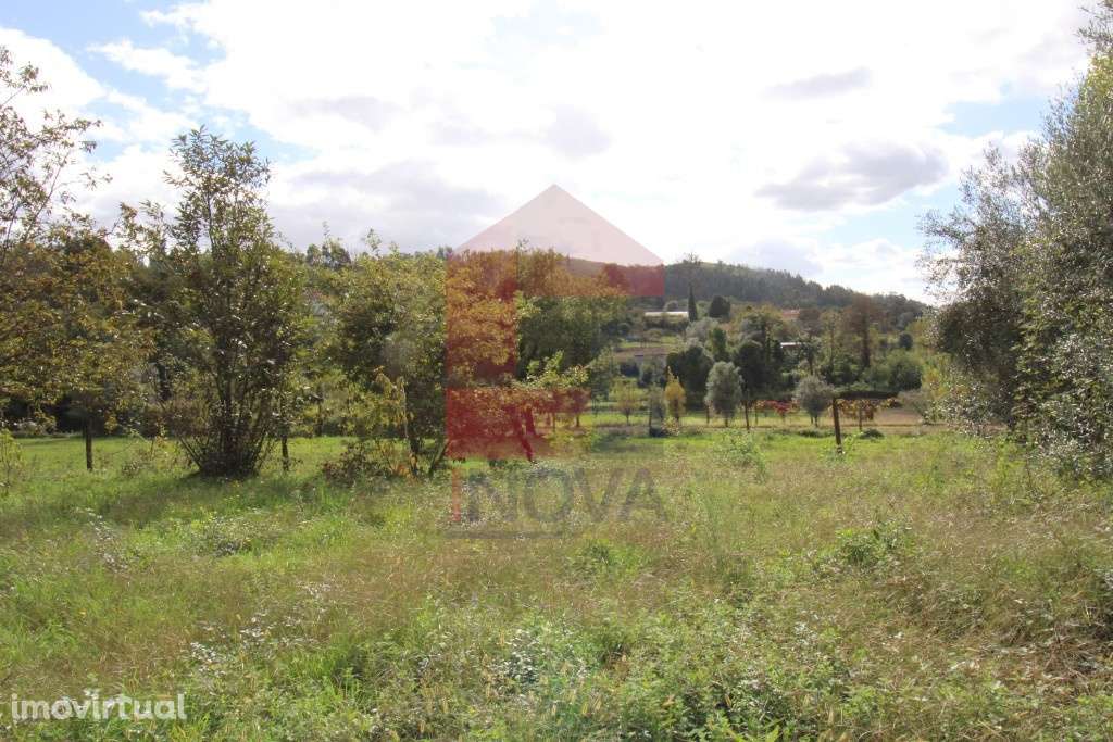 Quintinha em Travassós, Vila Verde - Grande imagem: 4/6