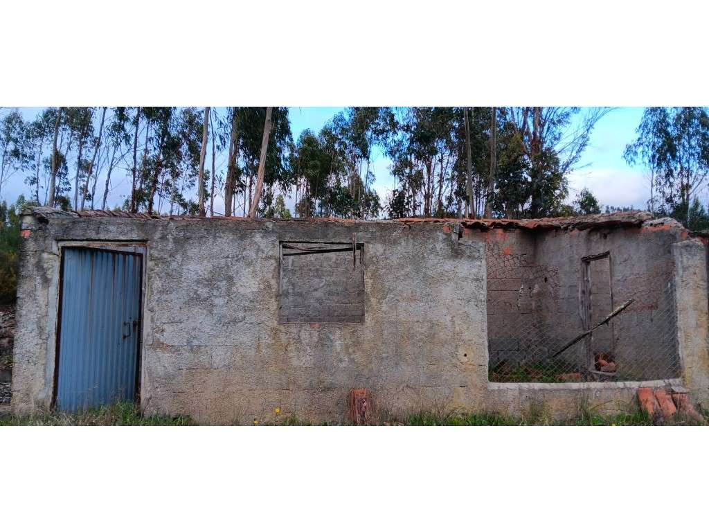 Terreno Rústico com Construção Rural, Poço e Oliveiras em Carreguei... - Grande imagem: 4/9