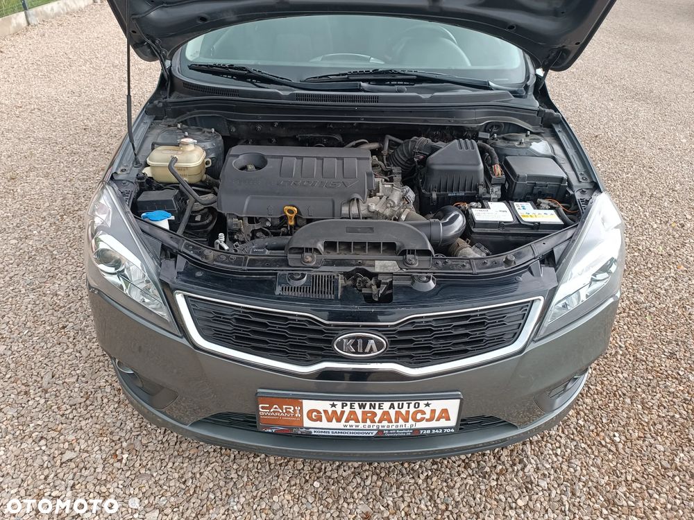 Kia ProCeed 1.6 Crdi Comfort - 29