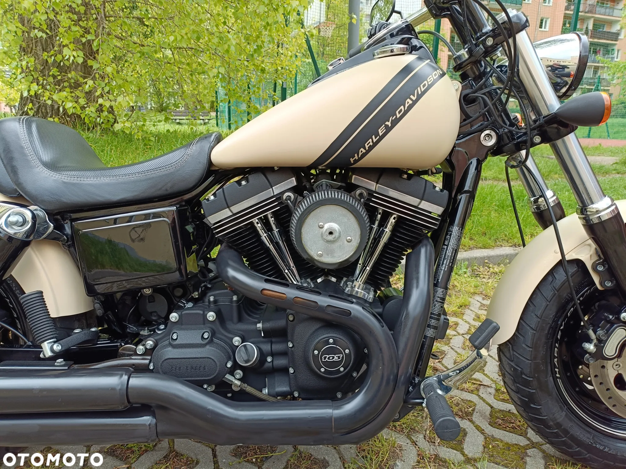 Harley-Davidson Dyna Fat Bob - 5