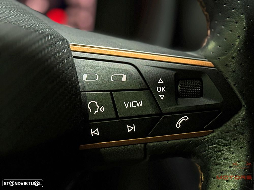 Cupra Formentor 2.0 TDI Plus - 24