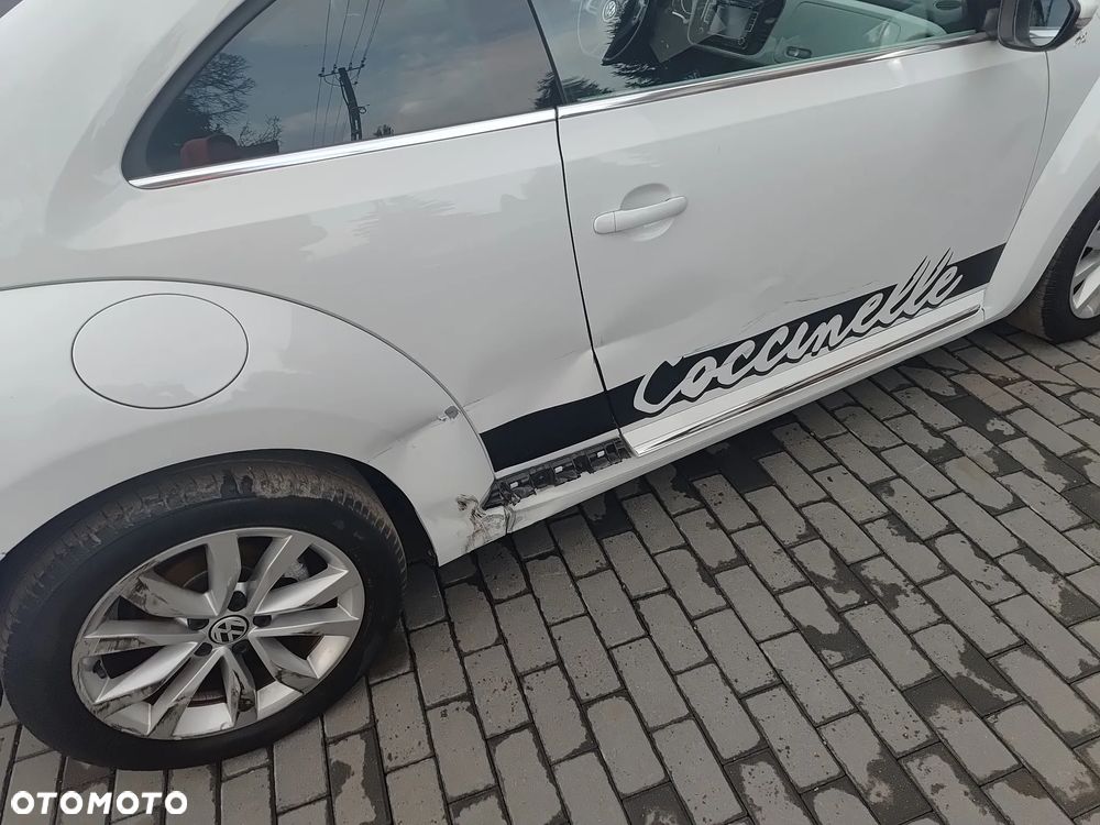 Volkswagen Beetle - 19