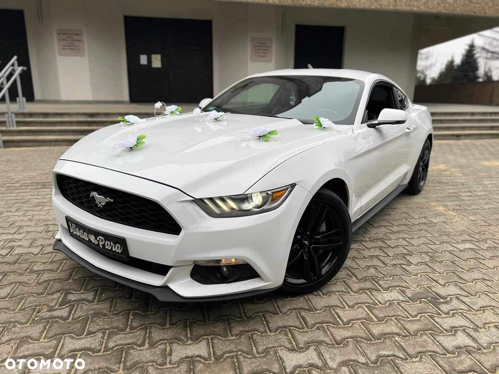 Ford Mustang 2.3 EcoBoost - 12