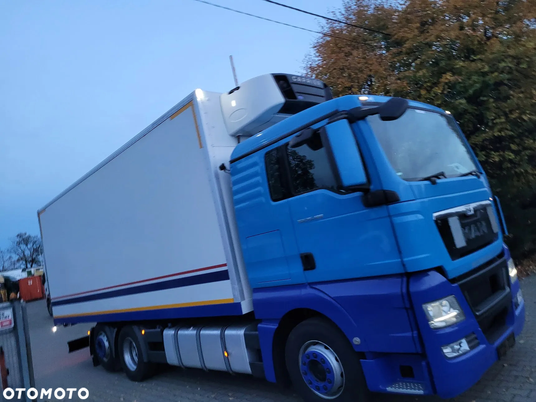 MAN TGX 26.480* chłodnia * izoterma  * thermo king * Carrier * - 2