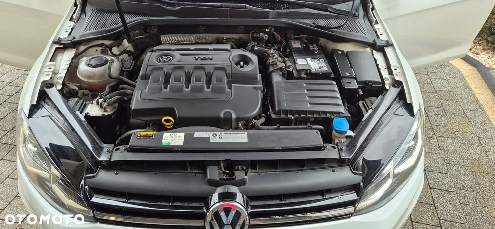 Volkswagen Golf - 12