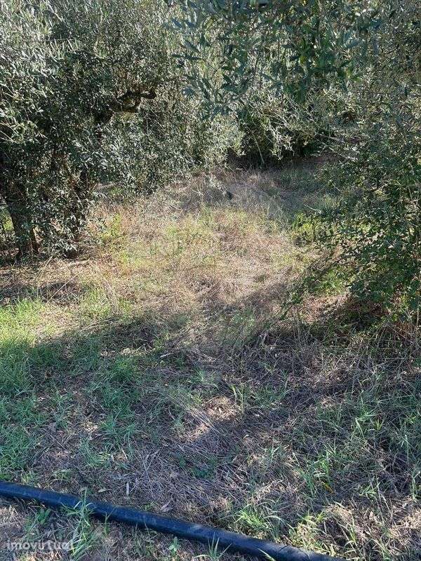 Terreno  para venda - Grande imagem: 3/17