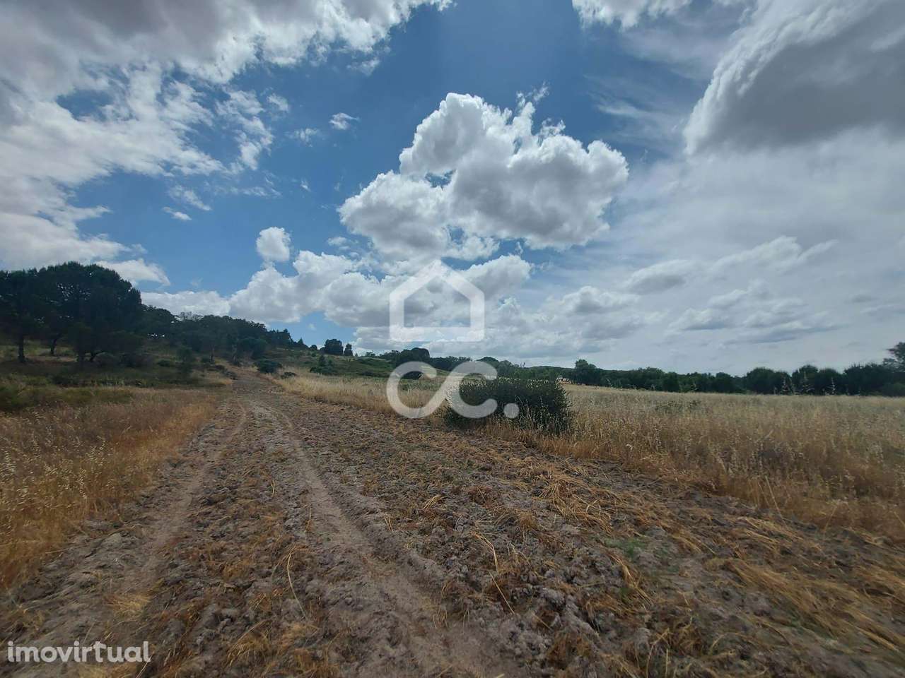 Terreno rústico com cerca de 1,59 hectares | Cabeção (Mora) - Grande imagem: 3/8