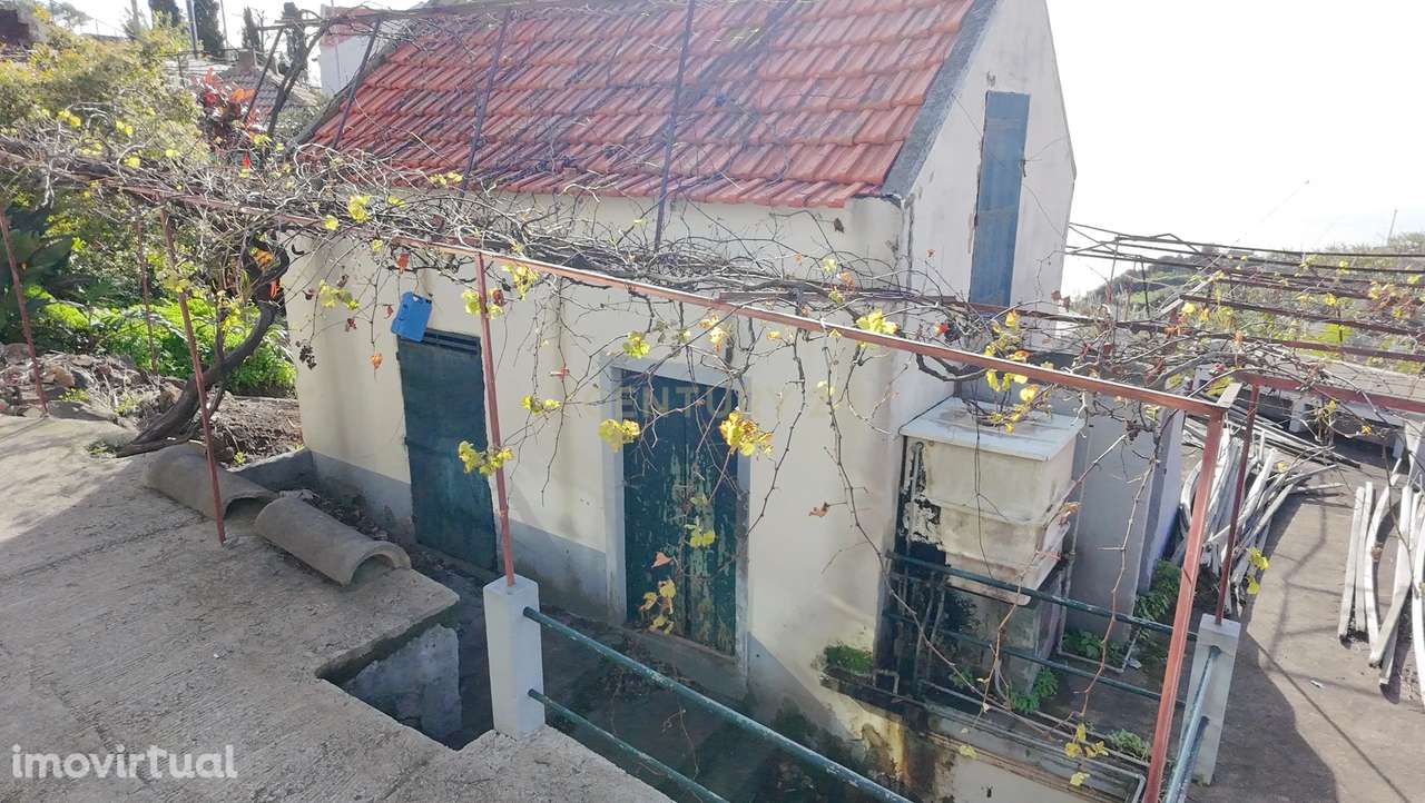 Terreno Amplo com Moradia Tradicional e Palheiro - Ponta do Sol - Grande imagem: 4/19