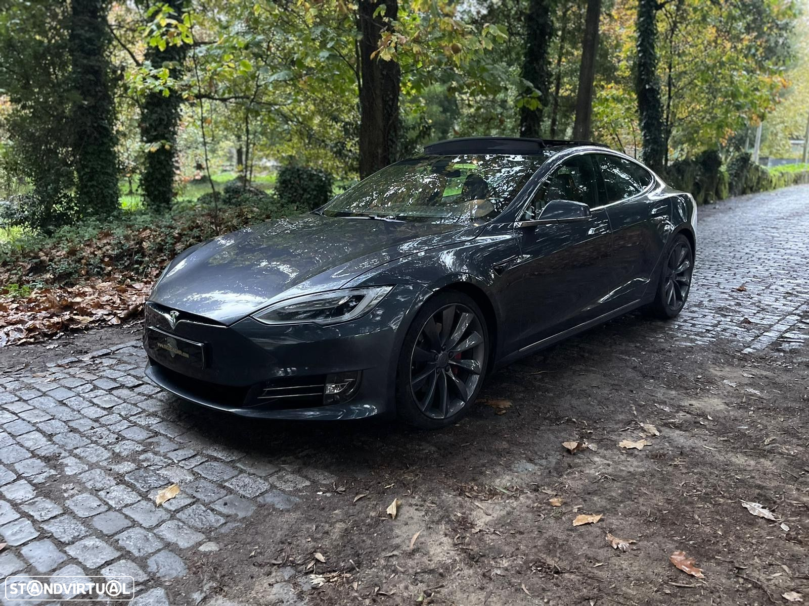 Tesla Model S 90D - 33