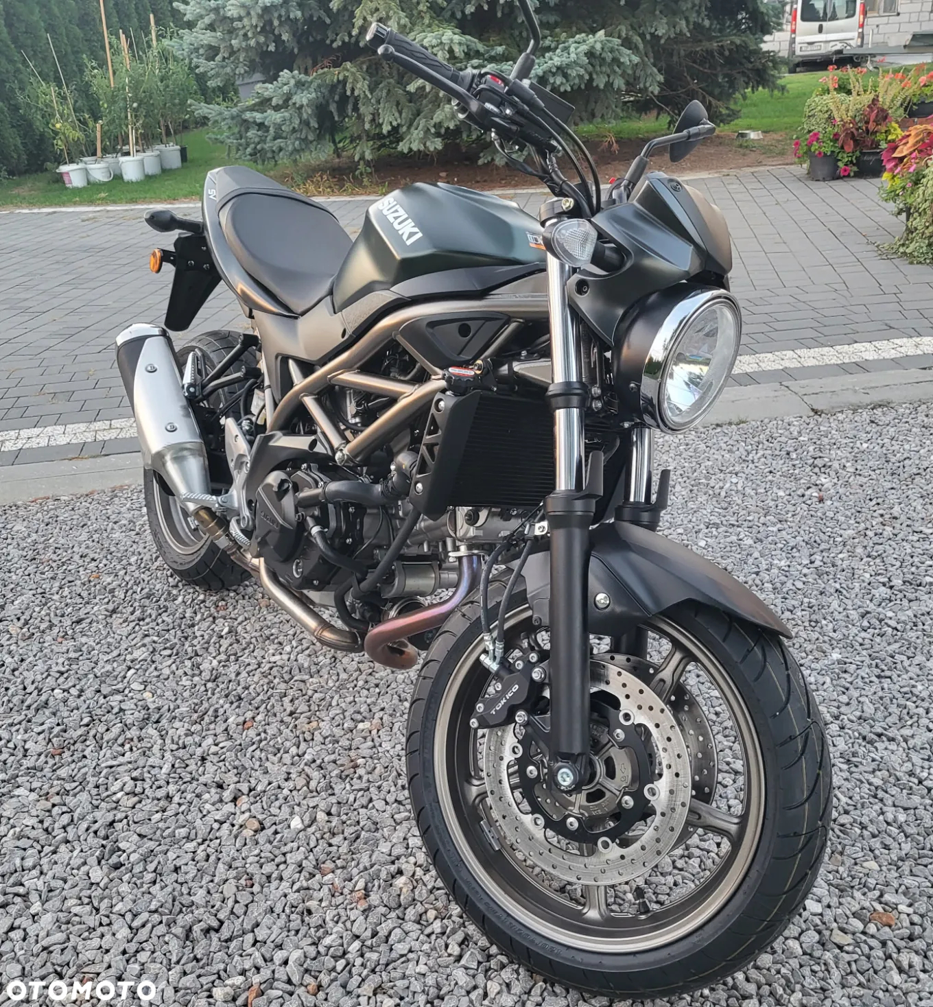 Suzuki SV - 3