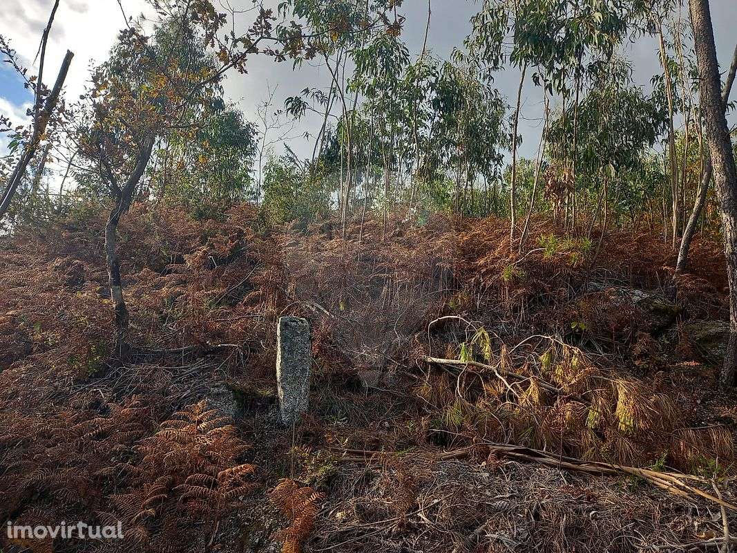 Terreno  para venda - Grande imagem: 3/7