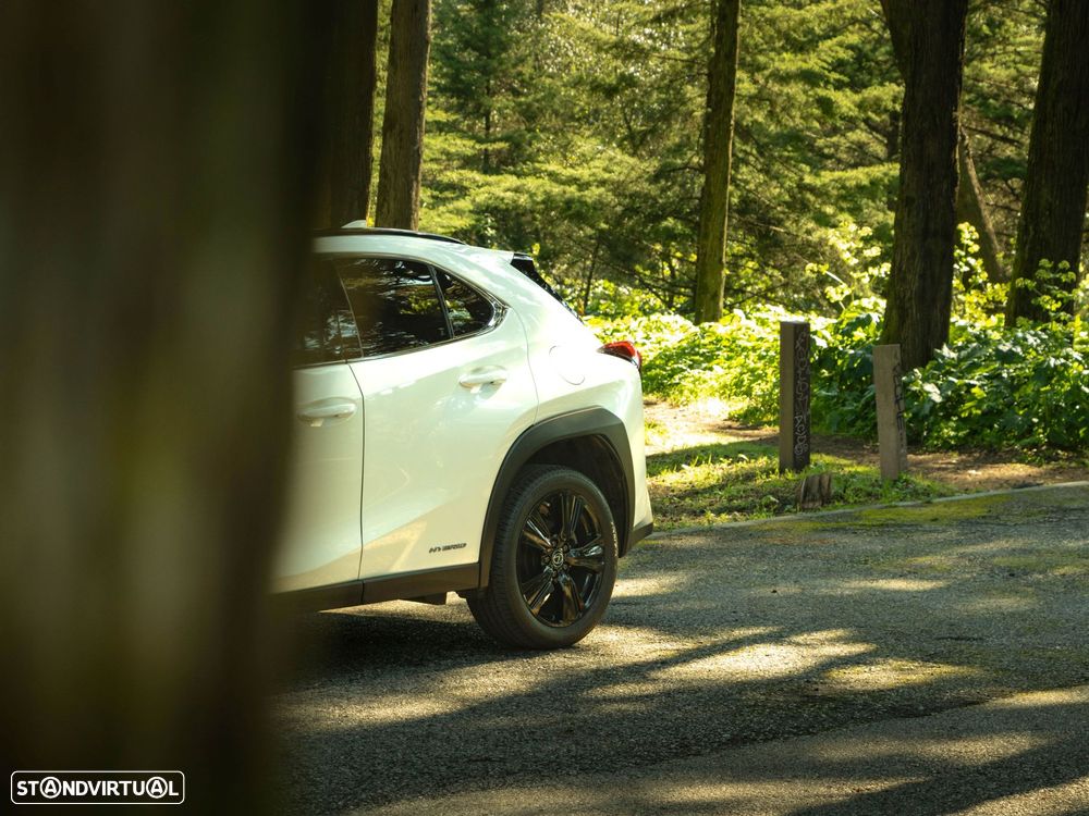 Lexus UX 250h Special Edition (LCA) - 19