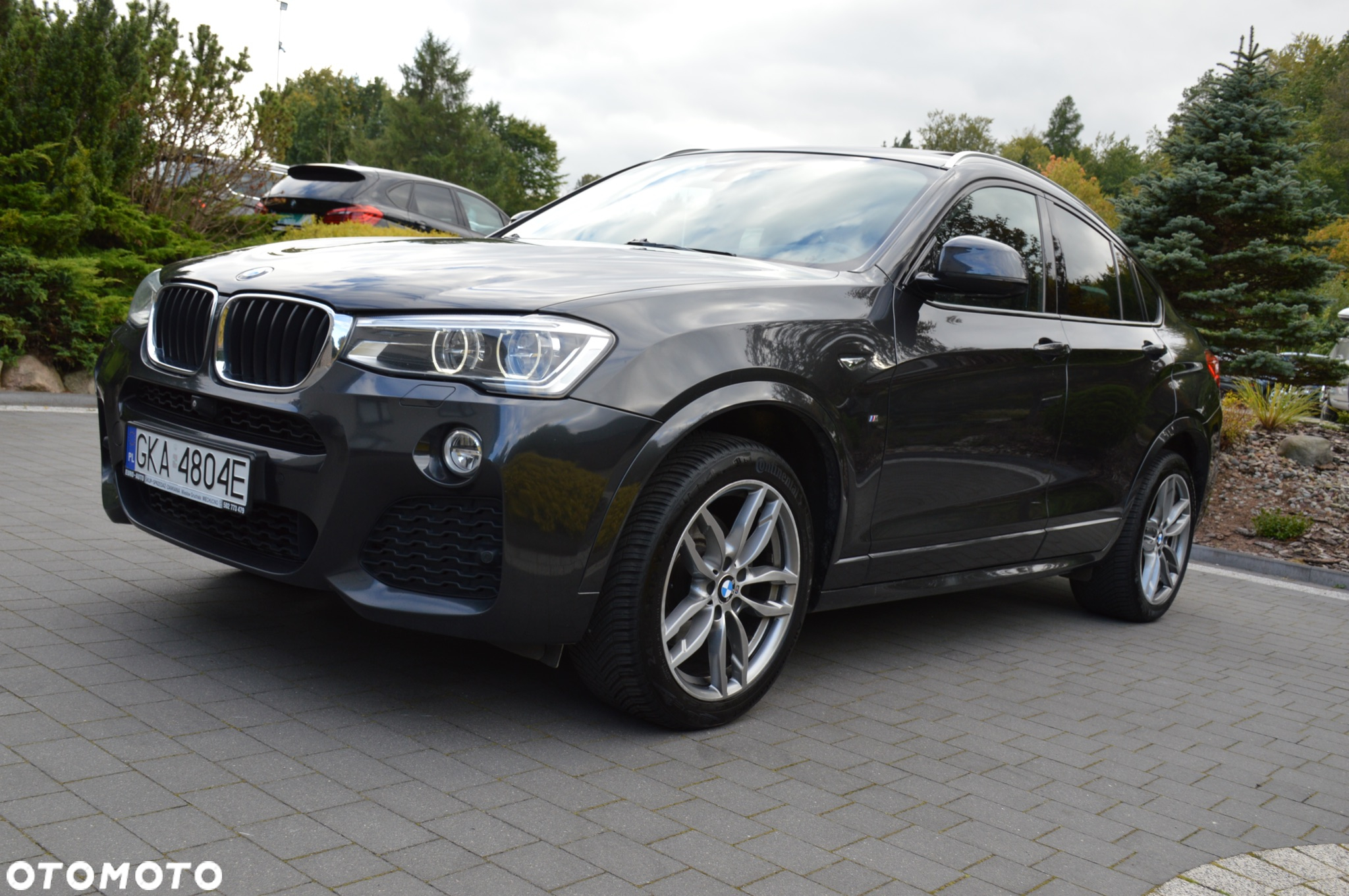 BMW X4 xDrive20d Edycja M Sport - 2