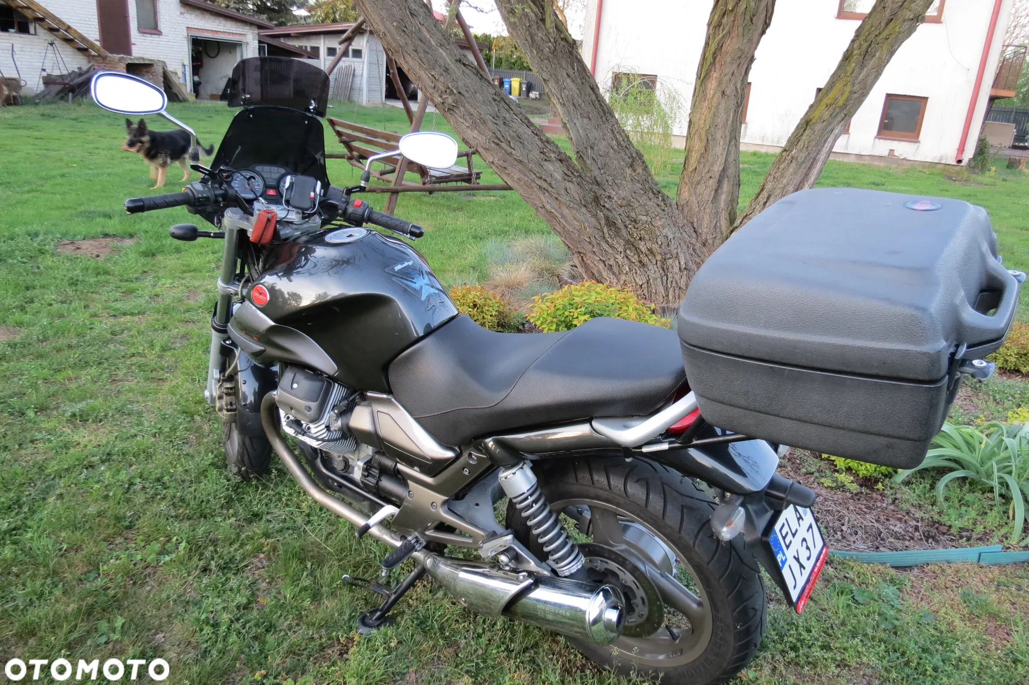 Moto Guzzi Breva - 21
