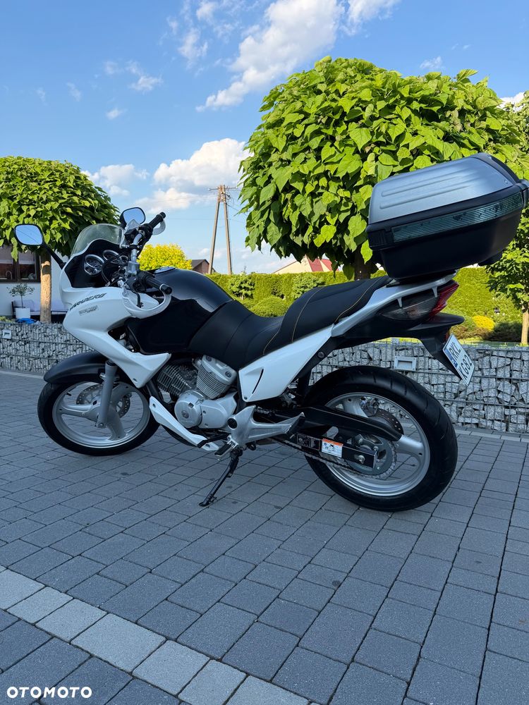 Honda Varadero - 7