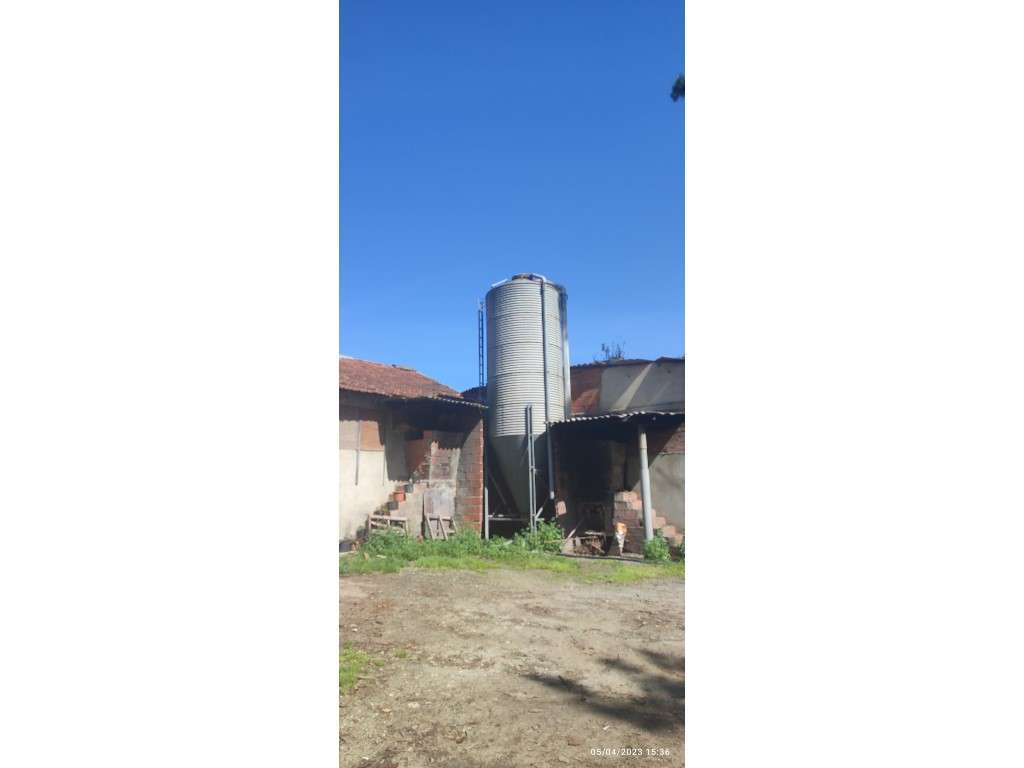 Barracão para aviário e logradouro, bem localizado e com bons acess... - Grande imagem: 3/16