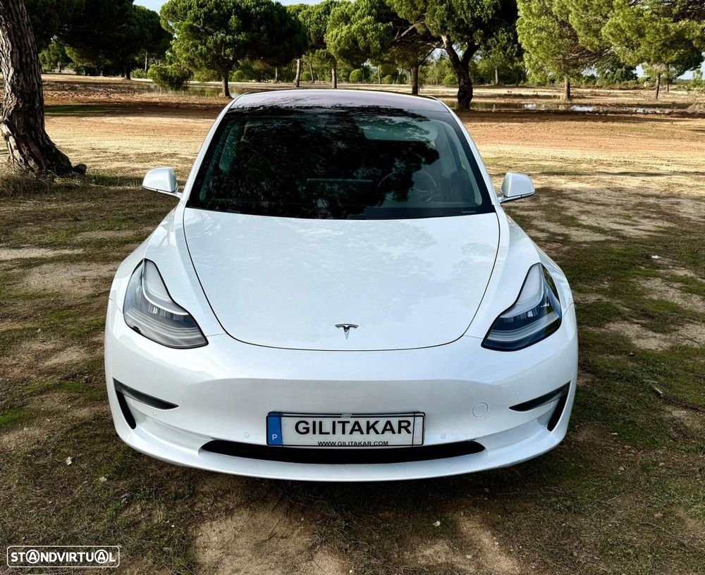 Tesla Model 3 AWD Dual Motor Performance - 3