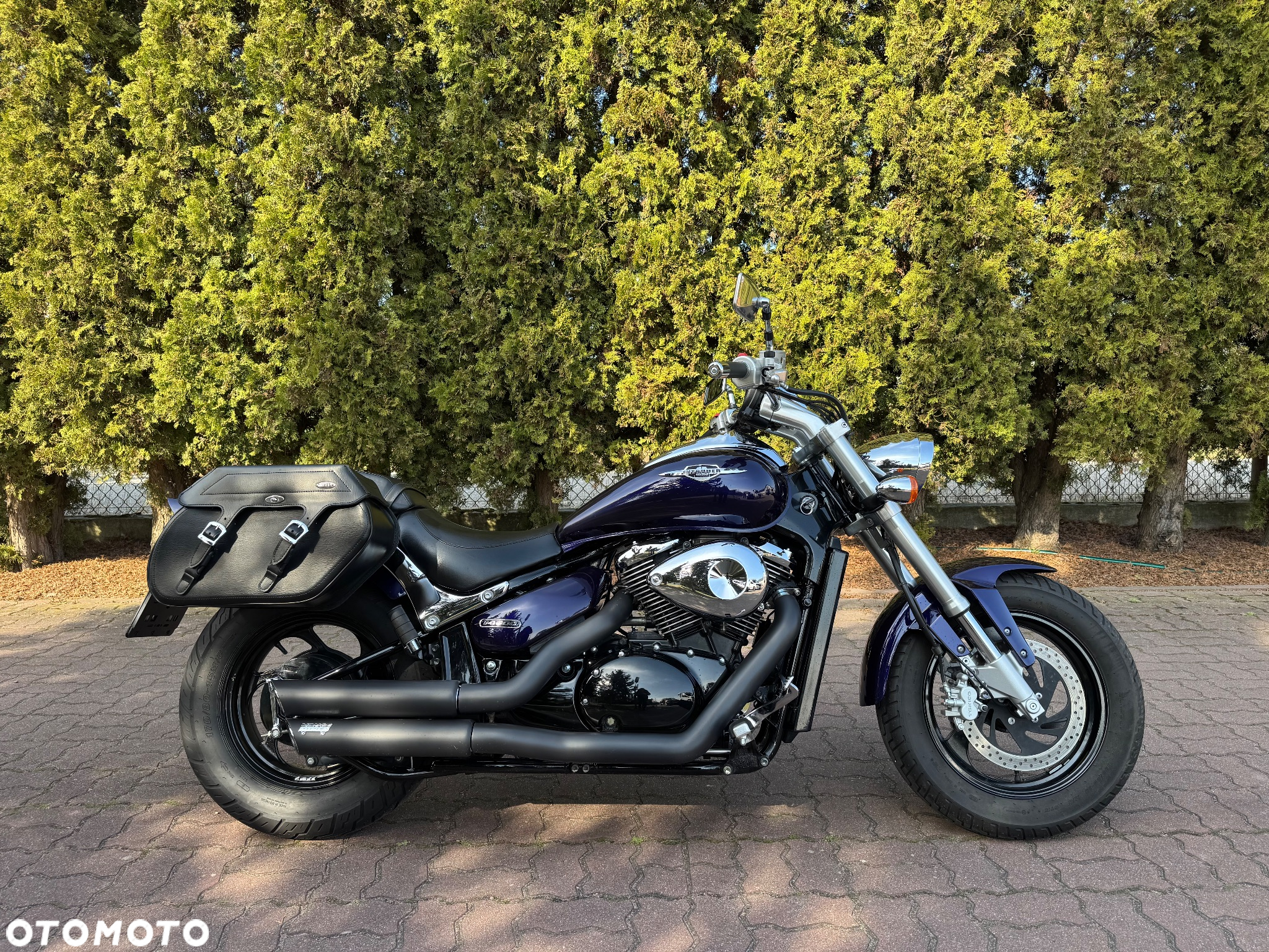 Suzuki Intruder - 2