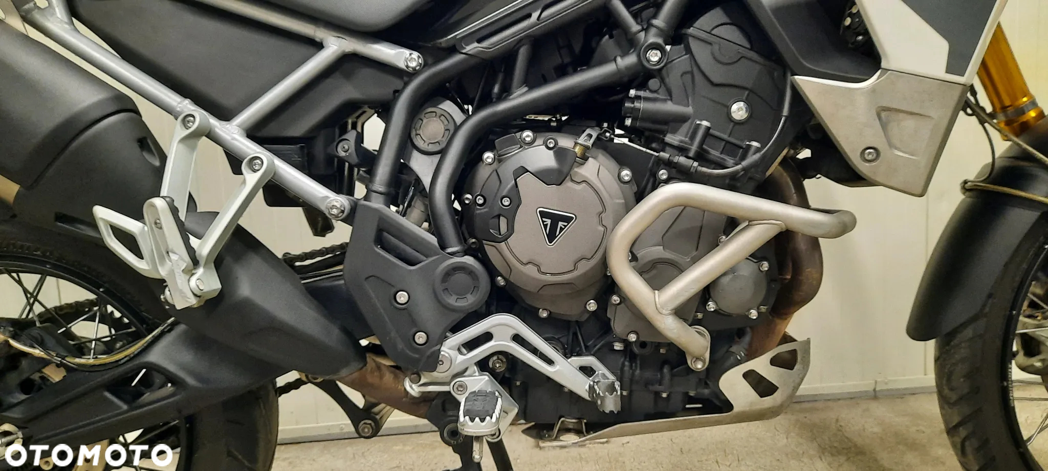 Triumph Tiger - 3