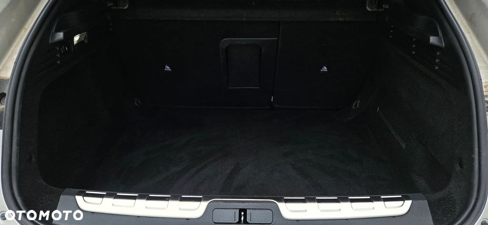 DS Automobiles DS 4 1.5 BlueHDi Performance Line + - 20