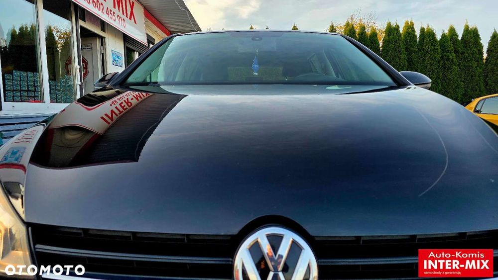 Volkswagen Golf - 31