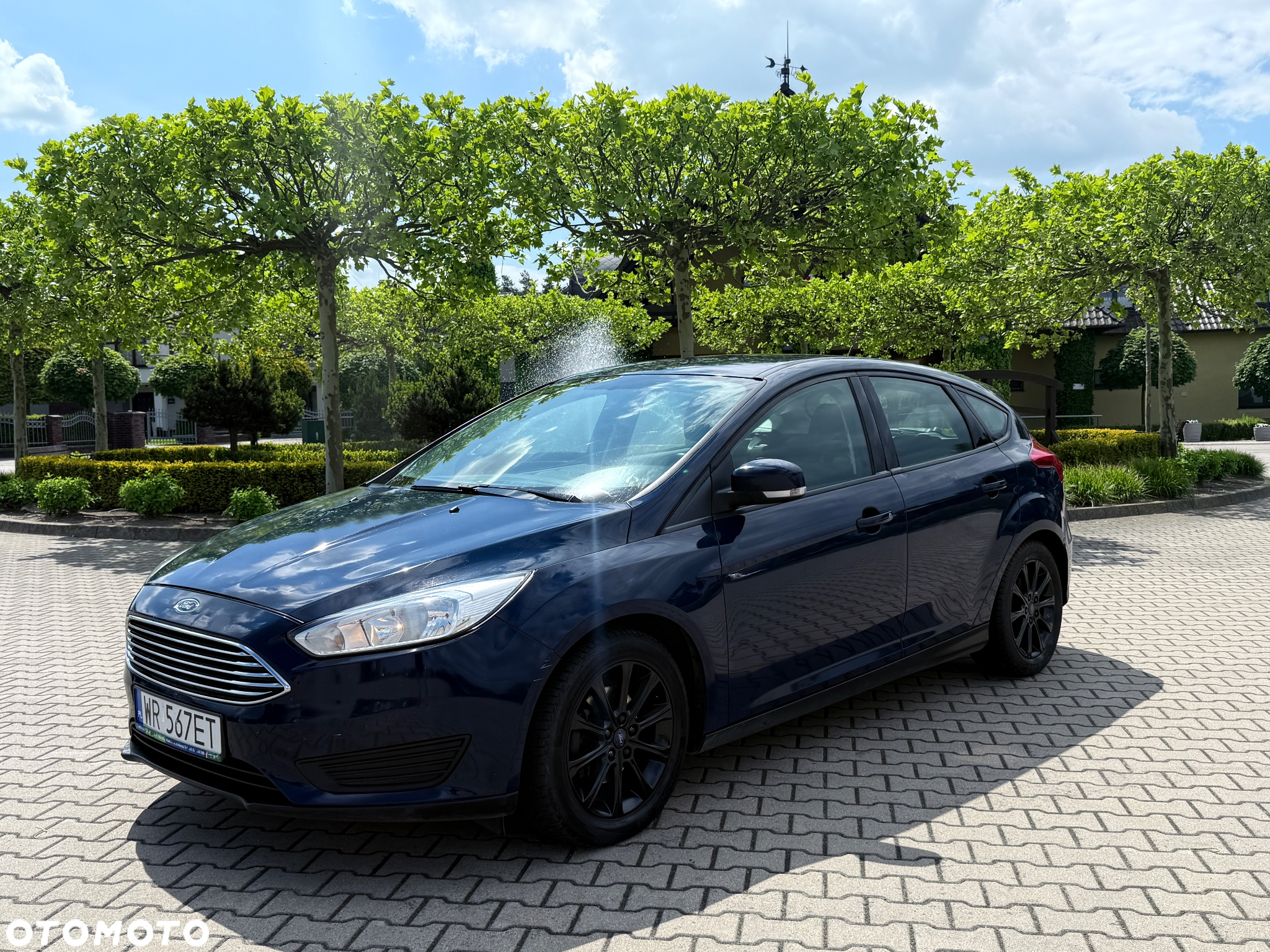 Ford Focus 1.6 Platinium X - 2