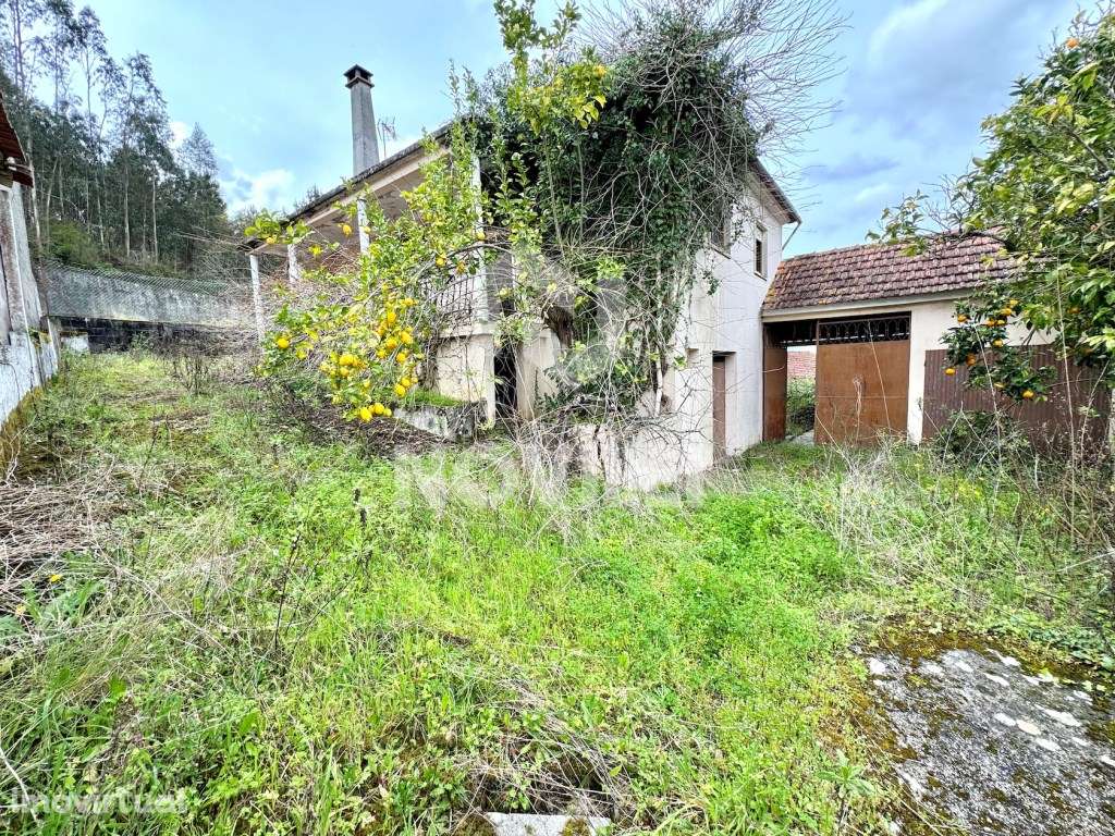 Moradia Isolada T3 e anexos com 485m2 de terreno urbano. - Grande imagem: 5/23