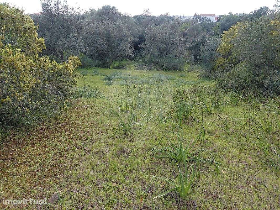 Terreno  para venda - Grande imagem: 3/15