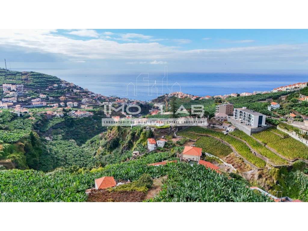 Apartamento T1 - Arrendamento - Câmara de Lobos - Grande imagem: 2/23