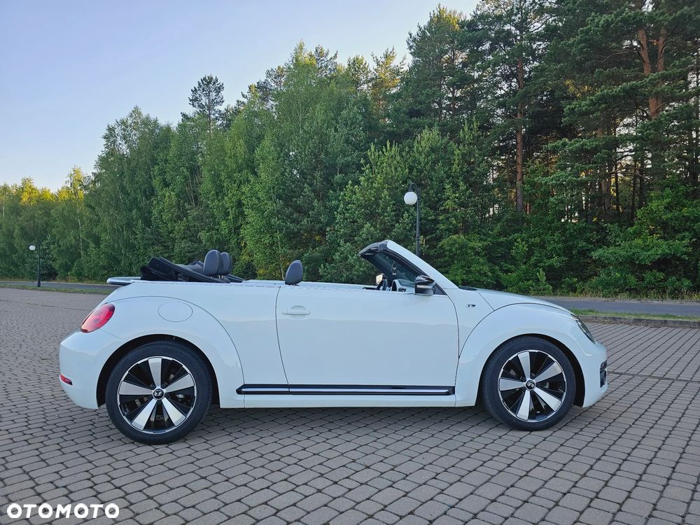 Volkswagen Beetle - 10