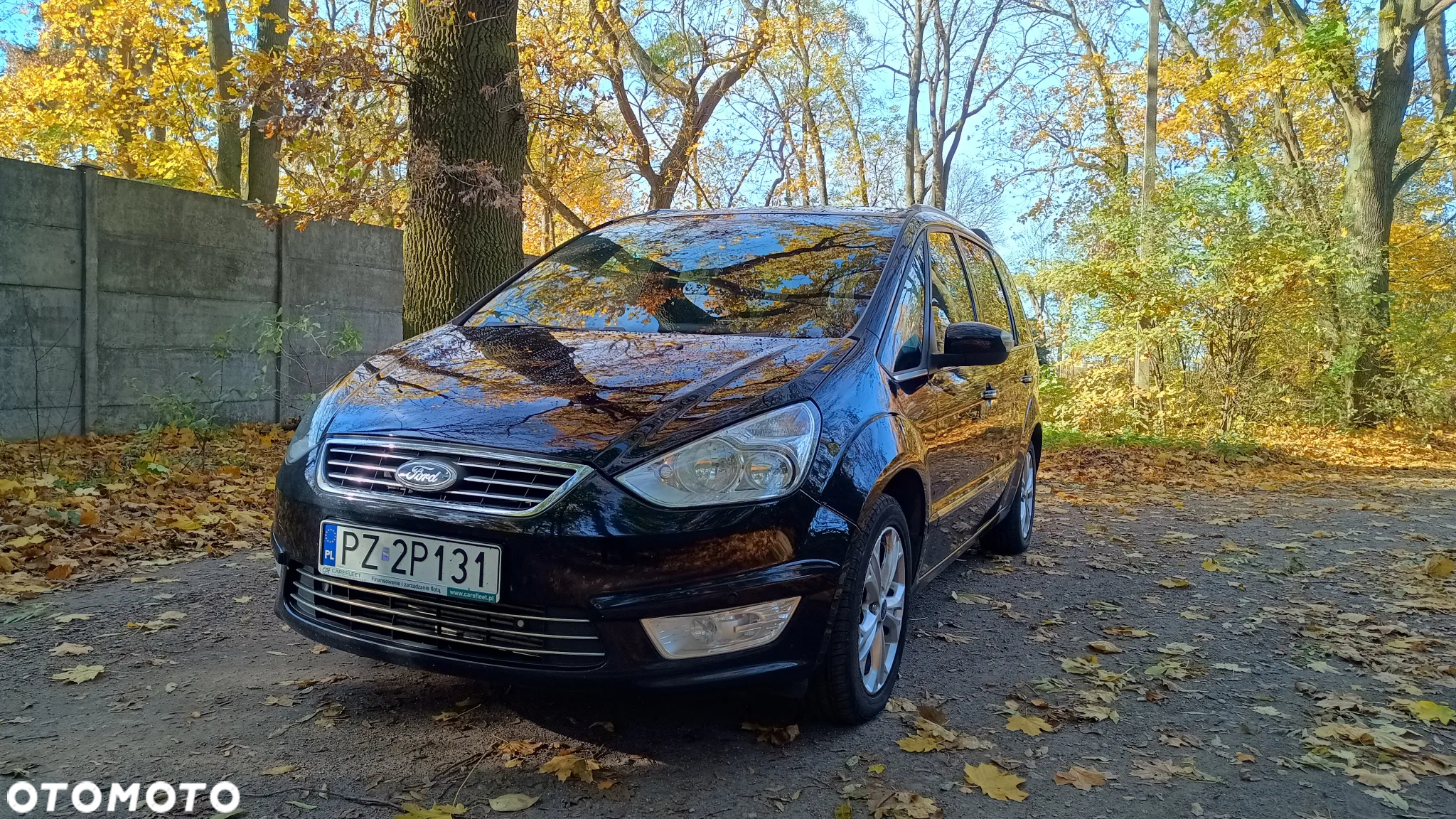 Ford Galaxy 2.0 TDCi Ghia - 10