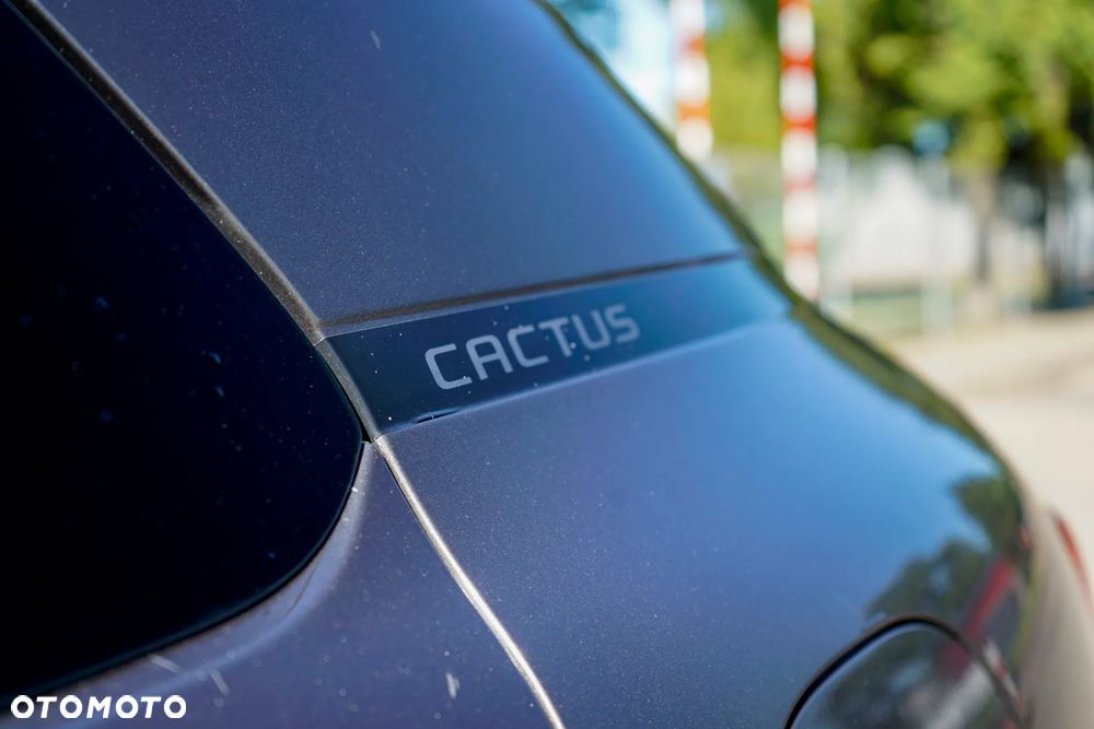 Citroën C4 Cactus - 15