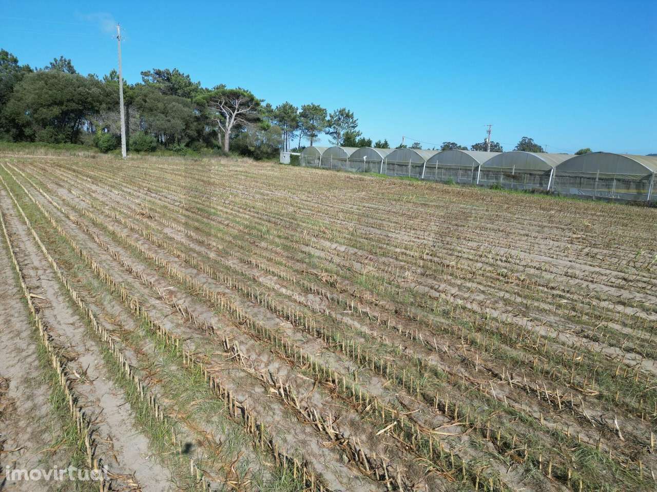 Terreno Rústico com 2,5 Hectares | Zona do Rio Alto – Estela, Póvoa de - Grande imagem: 5/24