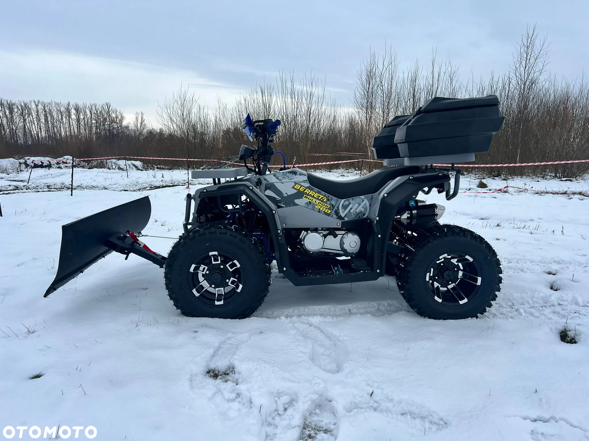Berreta Bulldog - 4