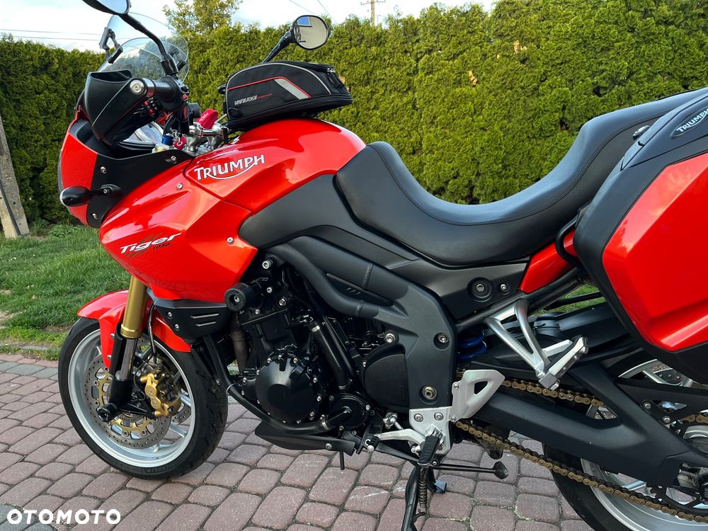 Triumph Tiger - 26