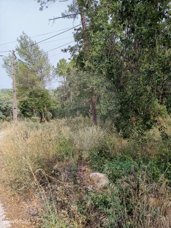 Terreno  para venda - Grande imagem: 3/8